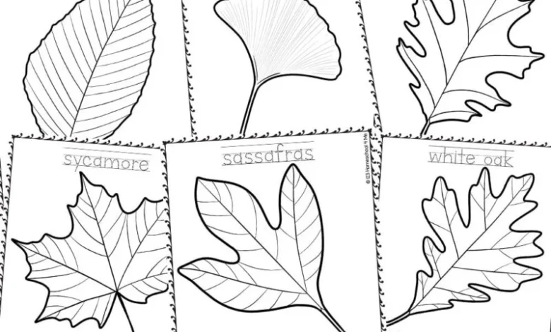 Printable:8fiztc9thxi= Fall Leaf