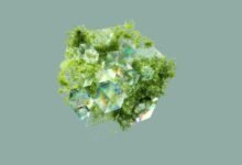 renewable energy stocks outlook