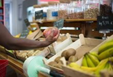 top stocks for gains