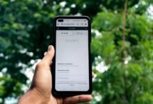 bold social media strategies