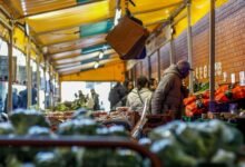 digital demand market strategy