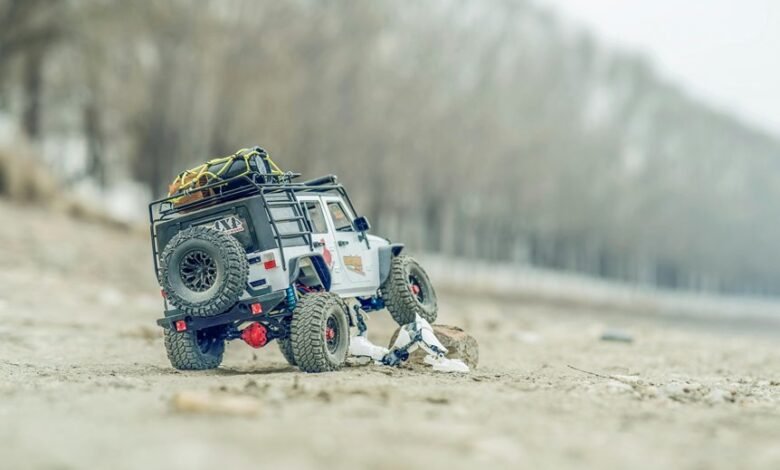 digital scale expansion control