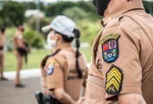 search authority ranking strength