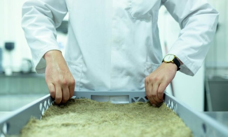 future innovation development spotlight