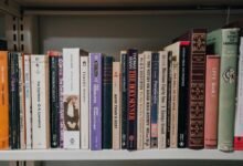 performance insight authority path