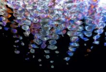 powerful fusion beam technology