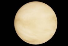 stellar profit orbit path