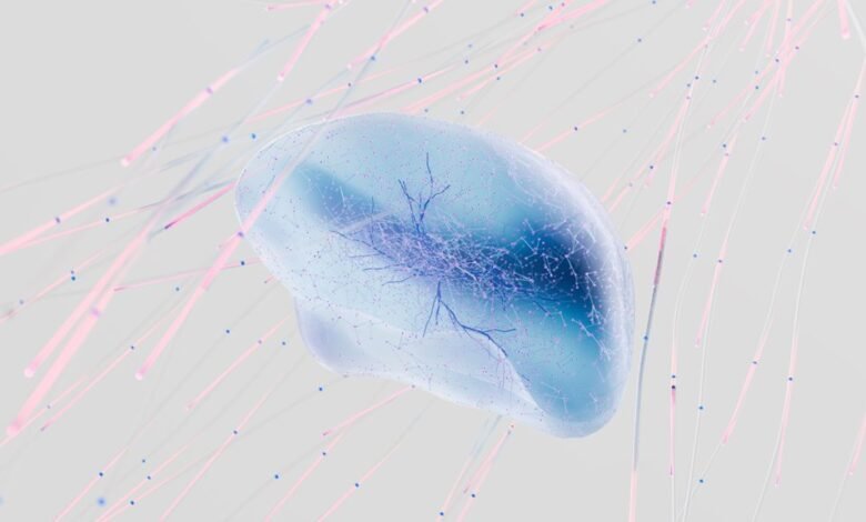nightly neuronetwork educational overview